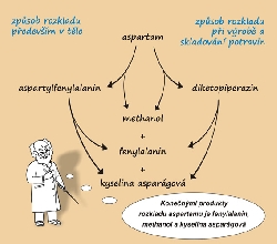 Rozklad aspartamu